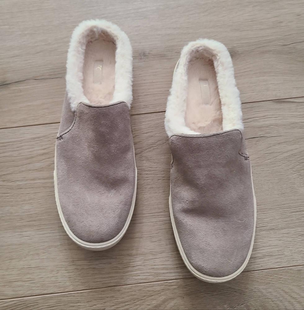 Limited Edition Toms